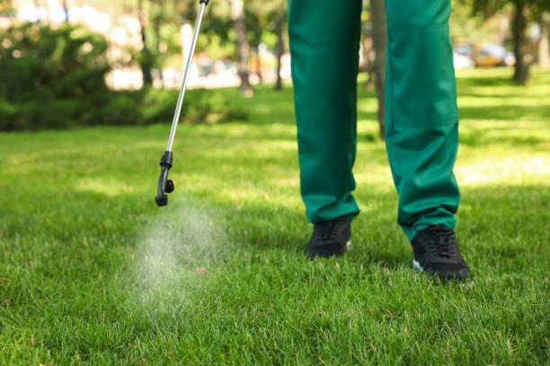 Best Termite Control Services  in Port Arthur, TX