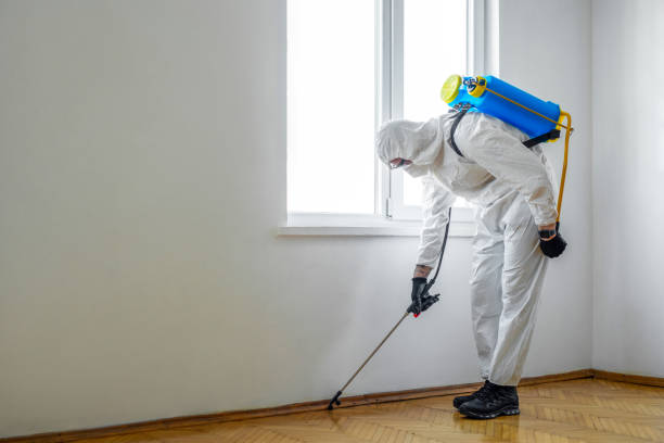 Best Pest Control for Restaurants  in Port Arthur, TX