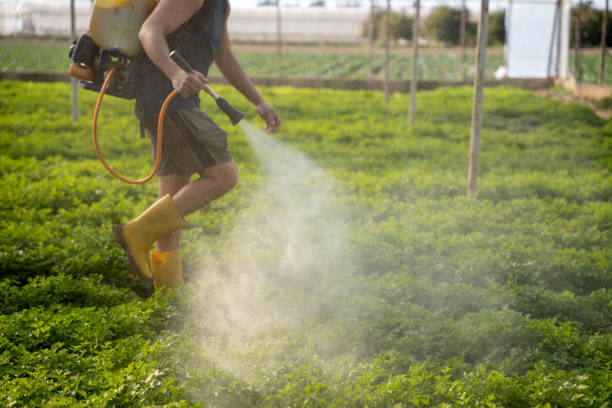 Best Best Pest Control Companies  in Port Arthur, TX