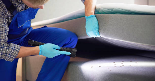 Best Flea Control Services  in Port Arthur, TX