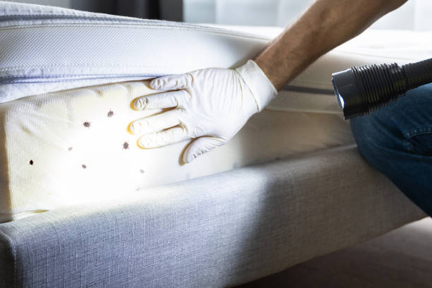 Best Insect Control  in Port Arthur, TX