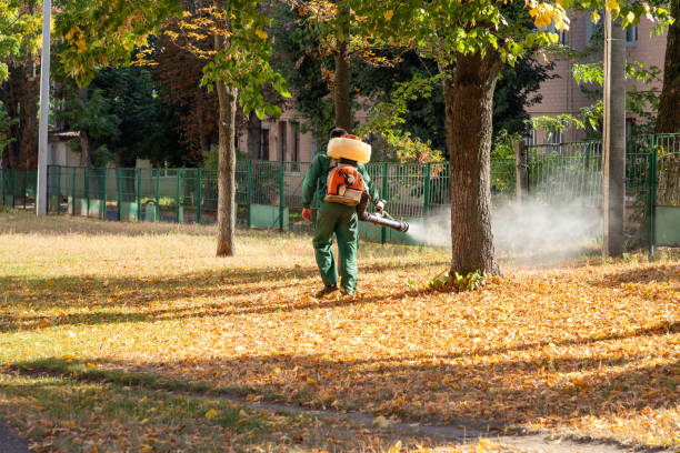 Bird Control in Port Arthur, TX
