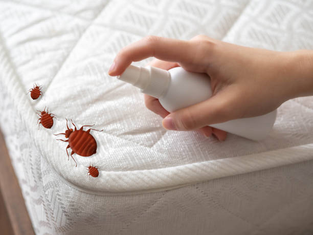 Pest Control for Restaurants in Port Arthur, TX